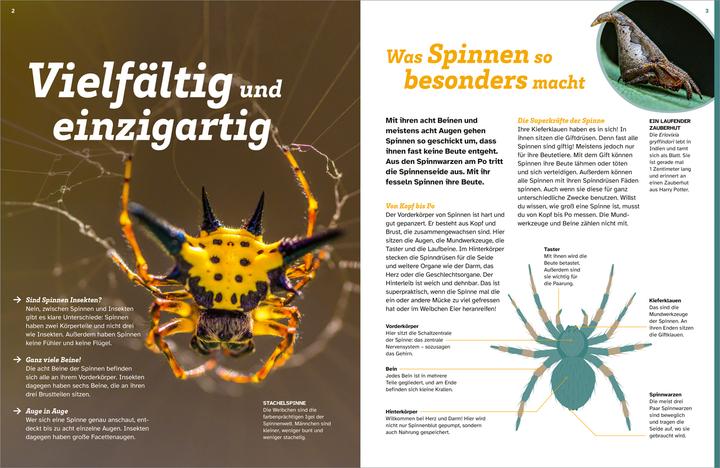 Produktbild Tessloff WAS IST WAS Spinnen. Akrobaten auf acht Beinen (Deutsch, Inga Marie Ramcke, 2024)
