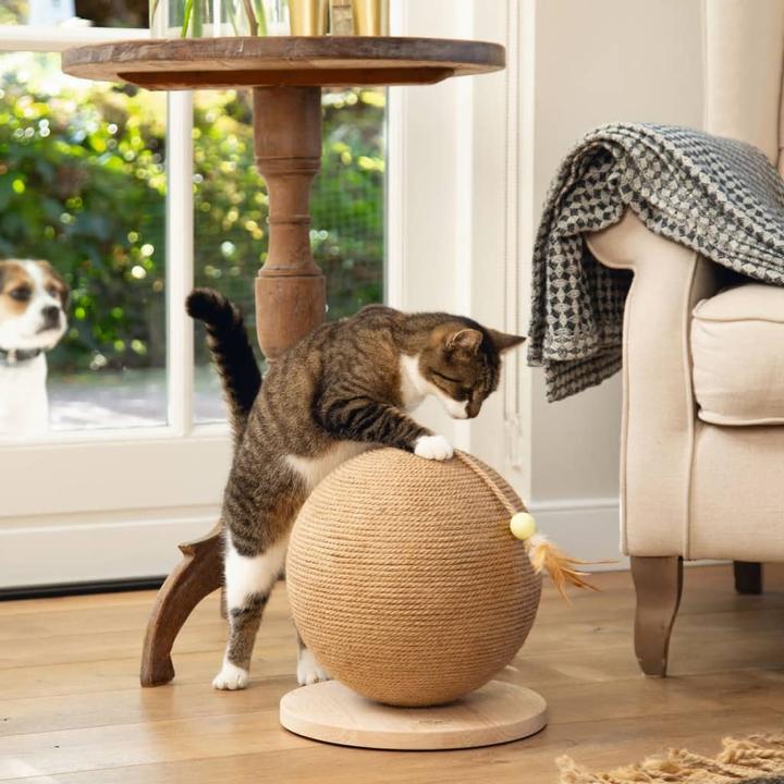 Actual product image Designed by Lotte Scratch ball Balty (31.50 cm, Nature)