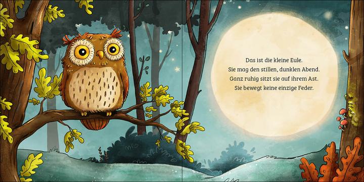 Produktbild Loewe Mein erstes Naturbuch - Die Eule (Deutsch, Sandra Grimm, Loewe Naturkind, Stefanie Reich, 2023)