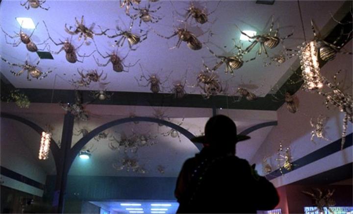 Immagine prodotto Plaion Attacco di Arac - L'attacco dei mostri a otto zampe (Blu-ray, 2002, Tedesco)