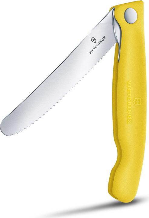 Actual product image Victorinox Swiss Classic (11 cm)