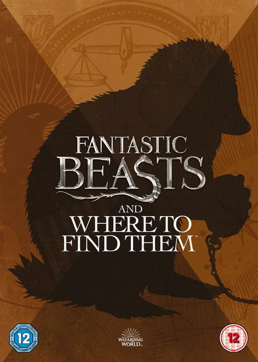 Produktbild Warner Bros Fantastic Beasts And Where To Find Them- (DVD, 2016, Englisch)