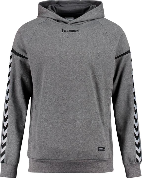 hummel Authentique Charge Poly Hoodie