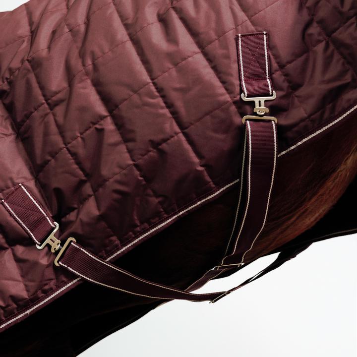 Actual product image Fouganza Combo (165 cm)