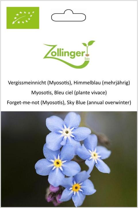 Produktbild Zollinger Bio Vergissmeinnicht (Myosotis), Himmelblau (mehrjährig) (Blumensamen)