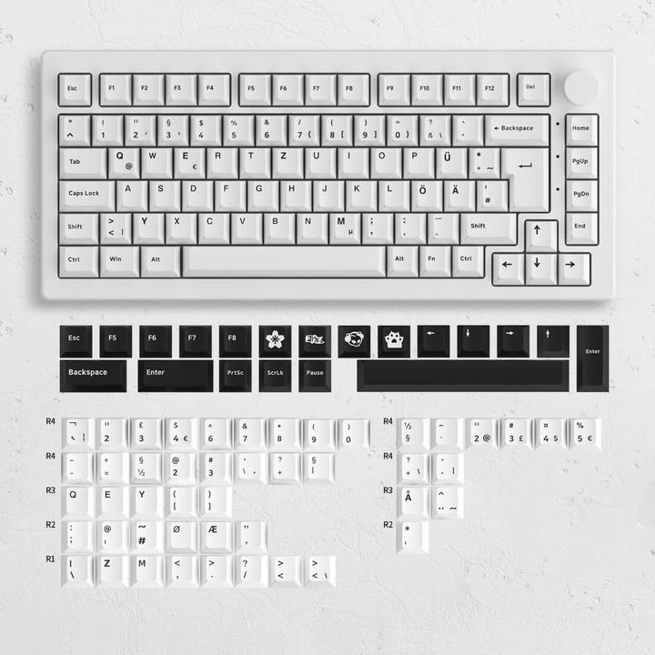 Image du produit Akko 5075B Plus (DE, Sans fil, Filaire)