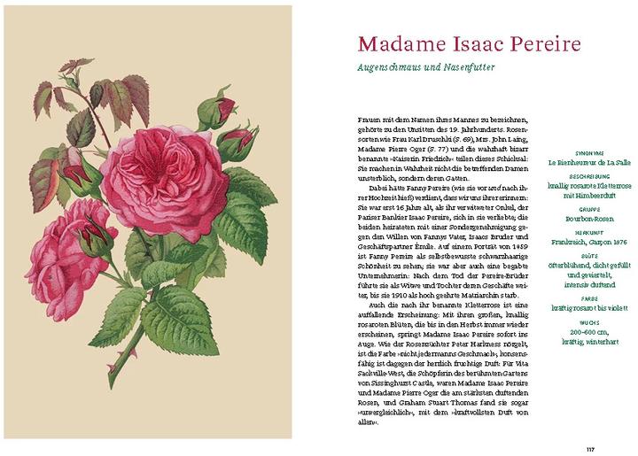 Actual product image Historische Rosen (German, Sofia Blind, Berlin State Library, 2023)