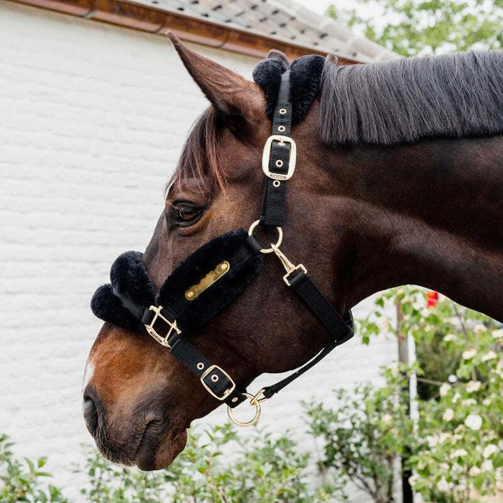 Produktbild Kentucky Horsewear gepolstertes halfter