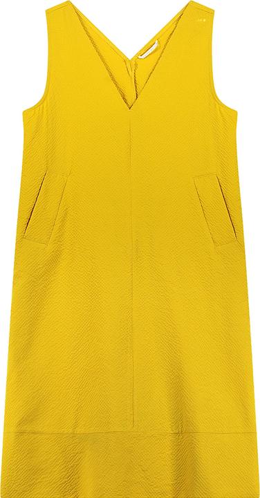 Jeanne Baret Sunflower
