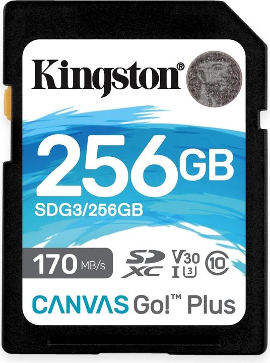 Kingston Canvas Go! Plus (256 GB, SDXC, U3, UHS-I)