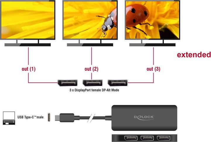 Image du produit Delock Splitter USB Type-C (DP Alt Mode) vers 3 x DisplayPort (15 cm)