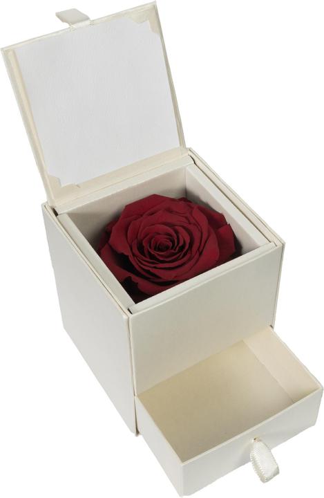 Image du produit Migros Ostschweiz Rose Premium (Rose stabilisée) en boîte avec tiroir (Fleurs à l'infini)
