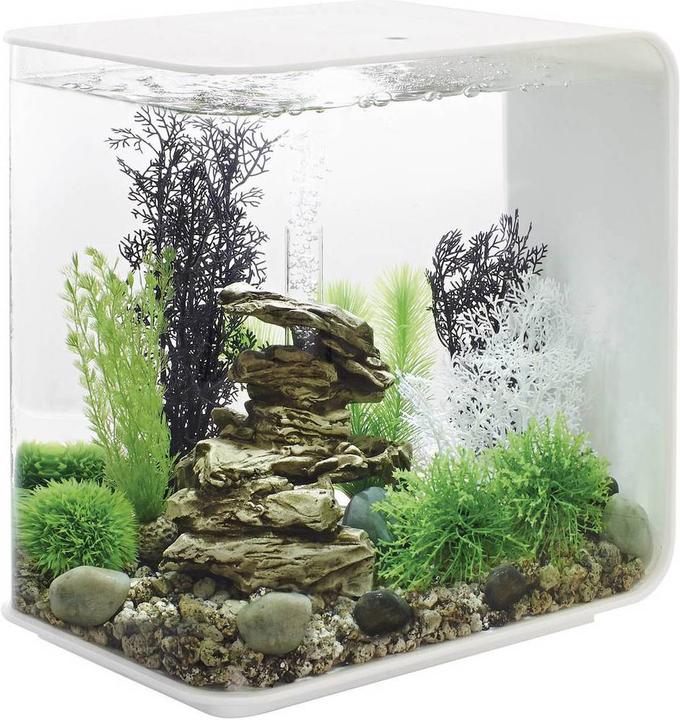 Oase Aquarium Acryl biOrb FLOW LED 30 l weiss