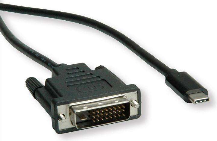Actual product image Roline USB Typ C — DVI (2 m, DVI)