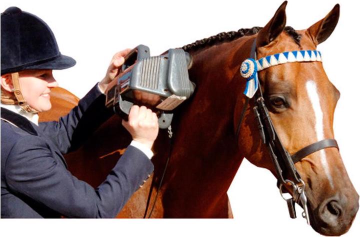Actual product image Thumper Massager Equine Pro