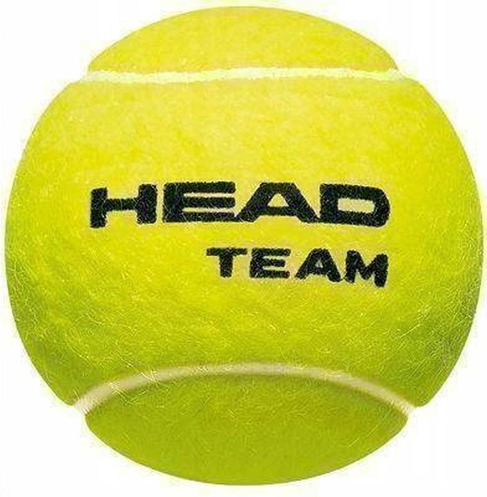 Actual product image Head Tennisbälle Team 12Erpack