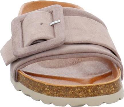Actual product image Verbenas Reiko (39)