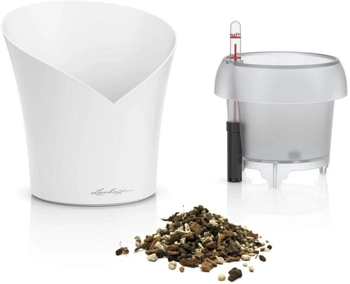 Image du produit Lechuza Orchidea (17.90 cm)