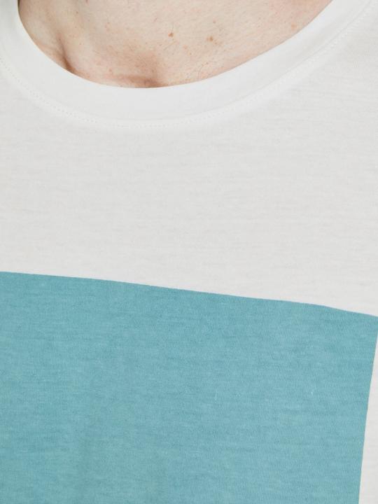 Actual product image Jack & Jones Magazines (L)