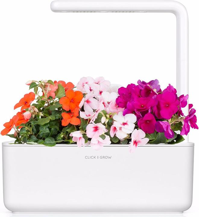 Immagine prodotto Click and Grow Occupato Lizzy (Semi di fiori)