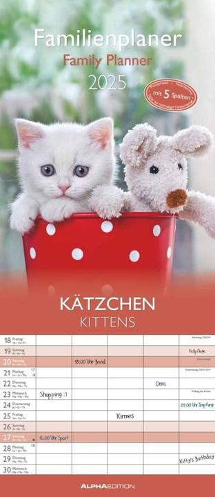 Produktbild Alpha Edition Familienplaner Kätzchen 2025, 19,5x45cm, Familienkalender mit 5 Spalten für (19.5 x 45 cm, Harter Einband, Deutsch)