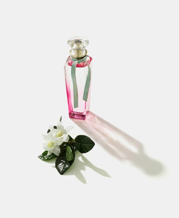 Image du produit Adolfo Dominguez Agua Fresca Gardenia Musk Edt. vaporisateur 120ml (Eau de toilette, 120 ml)