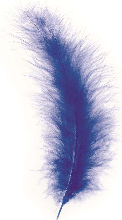 Immagine prodotto Glorex Marabufedern ca. 15St blau