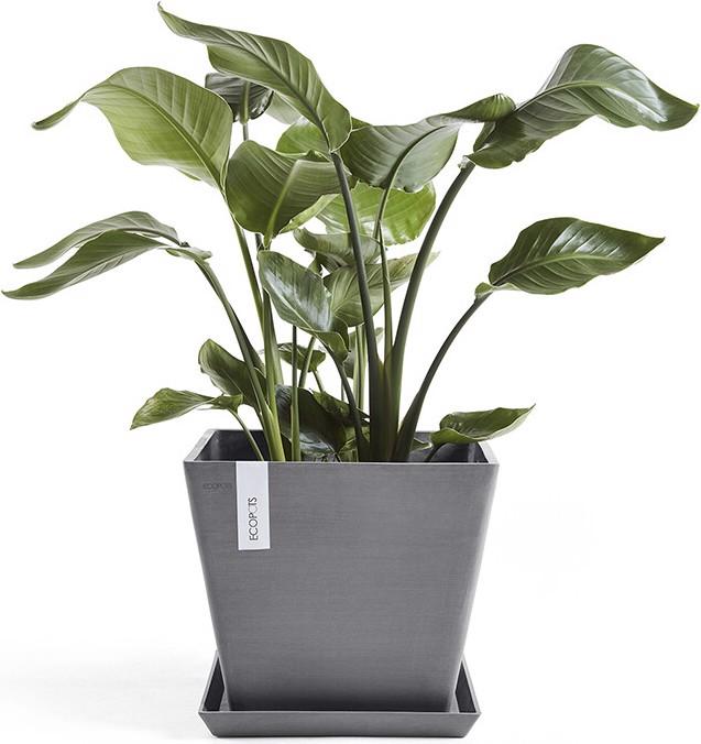Produktbild Ecopots Saucer Rotterdam