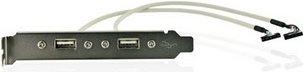 Produktbild Delock Slotblech 2x USB 2.0 zu 10 Pin Header (0.30 m, USB 2.0)