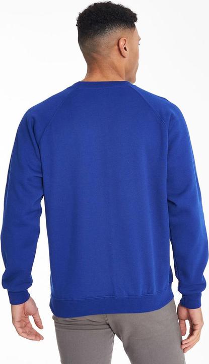Actual product image Maddins Sweatshirt Pullover With Round Neck Coloursure (92, 94, 96, 95 A)