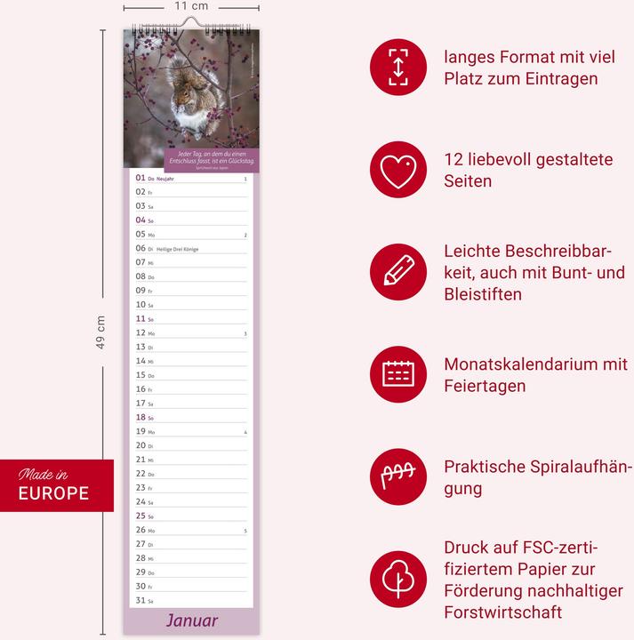 Produktbild times&moreTagevollerGlückLangplaner2026 (11 x 49 cm, Deutsch)