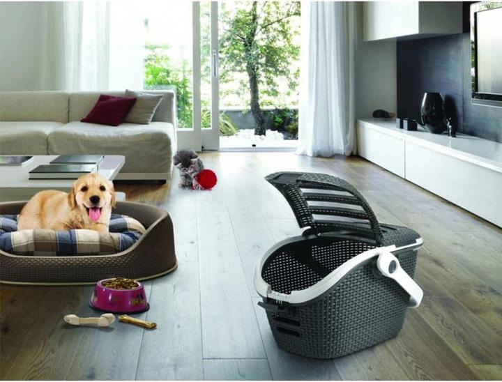 Produktbild Curver Transportbox (Katze, Hund, Komplett zu öffnen)