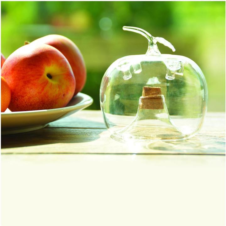 Actual product image Esschert Design Fruit fly trap apple