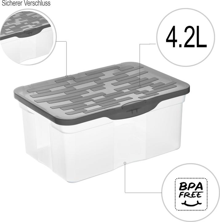 Produktbild Rotho Ranger (19 x 12 x 26 cm, 4.20 l)