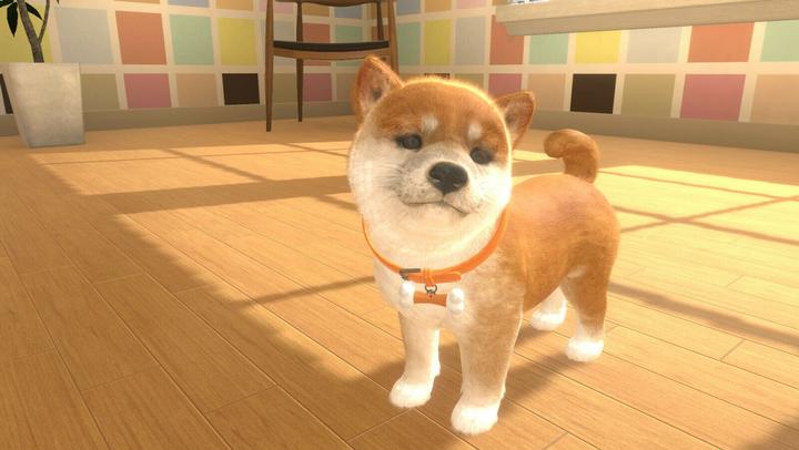 Actual product image Sold Out Little Friends: Dogs and Cats (Switch, Switch Lite, Switch OLED, DE)