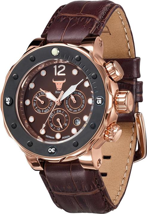 Carl von Zeyten BI0004RBR Bison 4