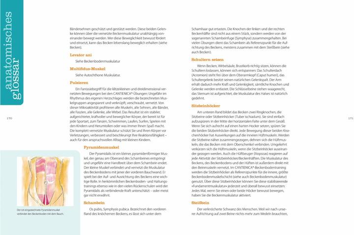 Actual product image Rückbildung mit Tigerfeeling (German, Benita Cantieni, 2013)