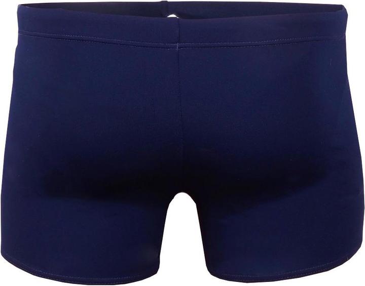Crowell Badebekleidung für Herren Luca col.02 dunkelblau (L) (L)