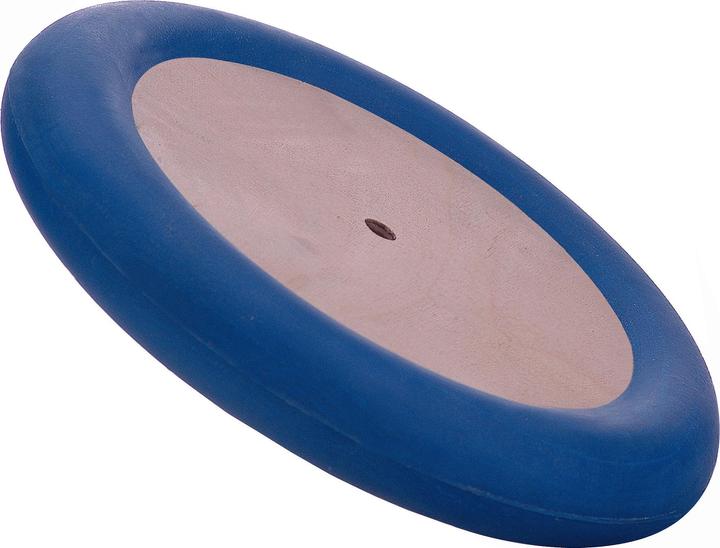 Image du produit Sport-Thieme Disque d'entraînement Salle (350 g)