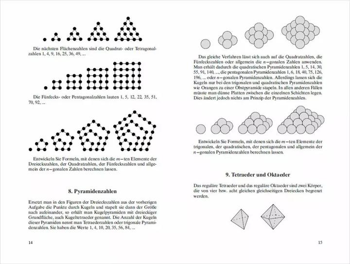 Produktbild Der 12-beinige Esel. 93 mathematische Rätsel mit ausführlichen Lösungen (Deutsch, Heinrich Hemme, 2022)
