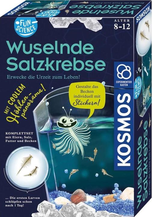 Image du produit Kosmos FunScience Crabes salés grouillants