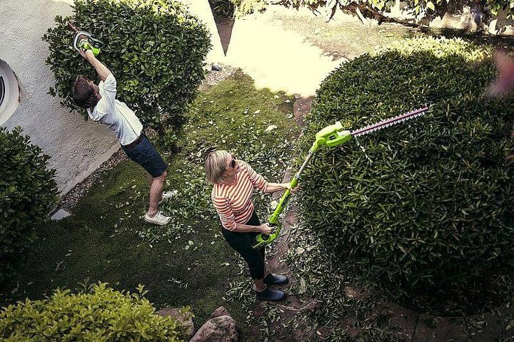 Produktbild Greenworks 40V g40pha hedge trimmer (tool only) (Elektroheckenschere)
