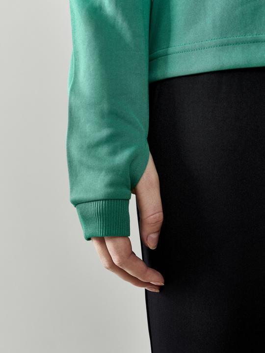Actual product image Craft Evolve Halfzip W (M)