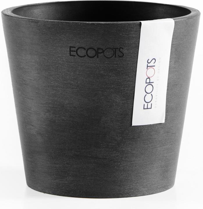 Actual product image Ecopots Amsterdam Mini (10.50 cm)