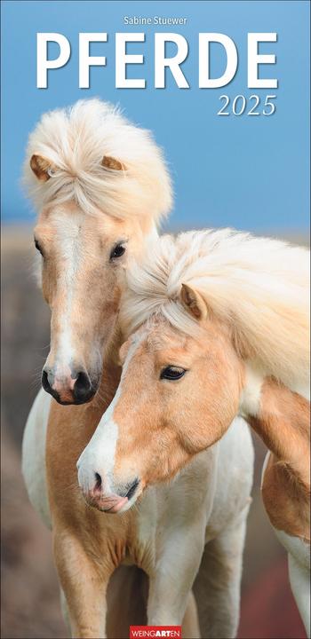Image du produit Calendrier des chevaux 2025 (33 x 68 cm, Couverture rigide, Allemand)