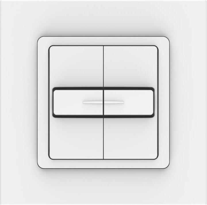 Actual product image somfy Double push-button