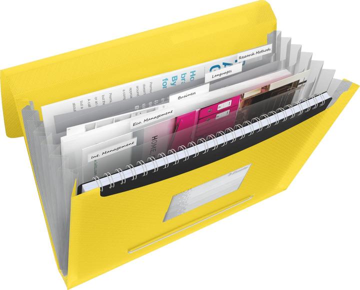 Actual product image Esselte Project File VIVIDA (A4, 1 x)