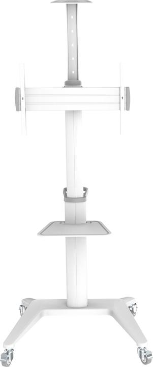 Produktbild PureMounts TV-Trolley PDS-0003C DS, Weiss (Universal, 70", 70 kg)