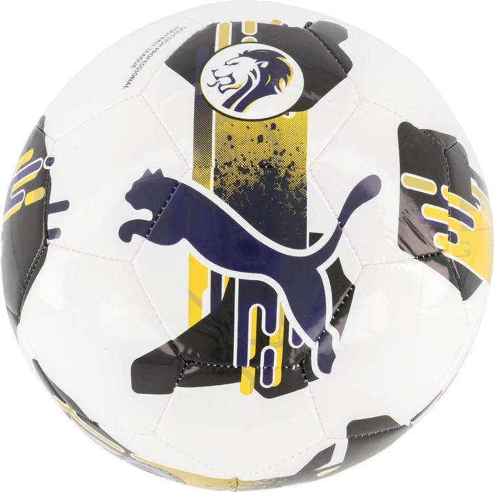Puma Orbita 6 SPFL Fussball (5)