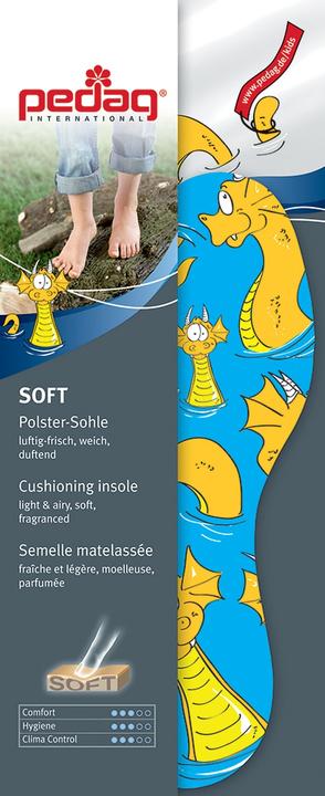 Pedag Soft Kids
